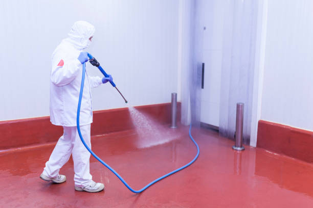 Best Building Exterior Washing  in Sheridan, IN